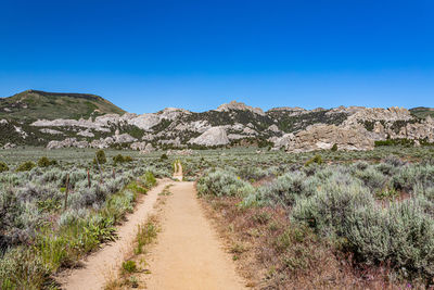 Scenic view of landscape against clear blue sky