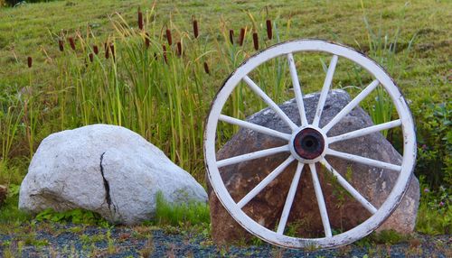 View of wheel in field