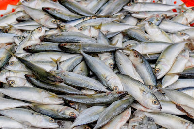 Full frame shot of fish for sale in market