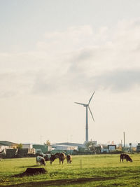 View of horses grazing on field against sky