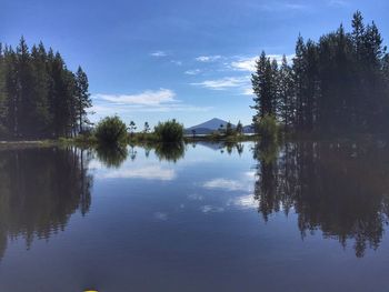 Reflection of trees in lake against sky