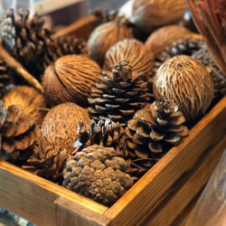 Close-up of fruits in basket