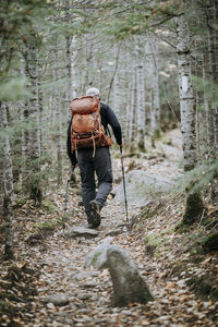 A male retirement age hiker walks on the appalachian trail in maine