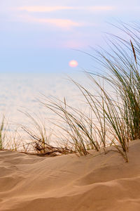 Scenic view of beach against sky during sunset