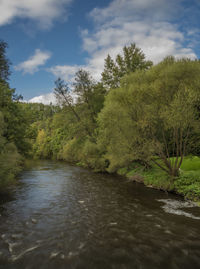 Scenic view of river amidst trees against sky