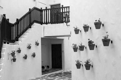 Lots potted plants in white wall building