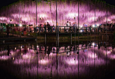 Reflection of purple flowers in lake at night