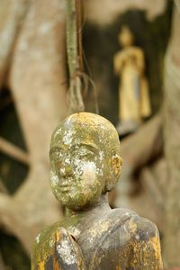 Close-up of buddha statue