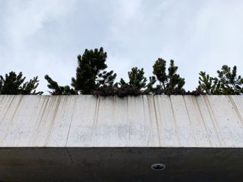 Trees and plants growing on land against sky