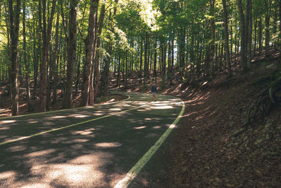 Road amidst trees in forest