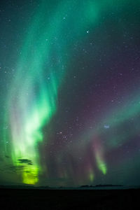 Low angle view of aurora polaris over land at night