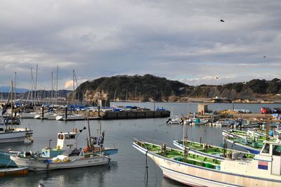 Boats moored at harbor