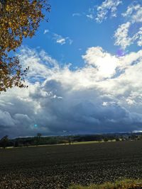 Scenic view of field against sky