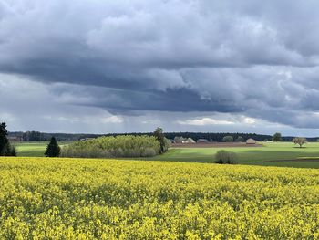 Scenic view of field against cloudy sky