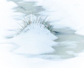 Snow covered field