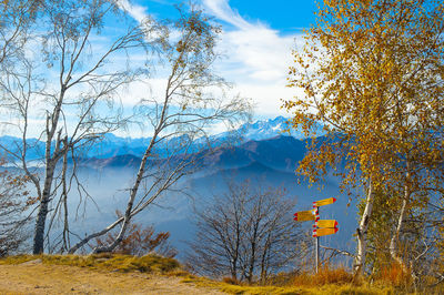 Trees by lake against sky during autumn