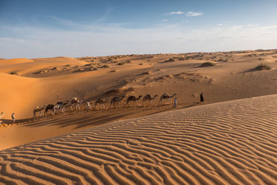 Sand dunes in desert against sky