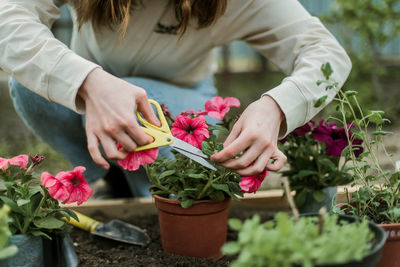 Midsection of woman picking flowers