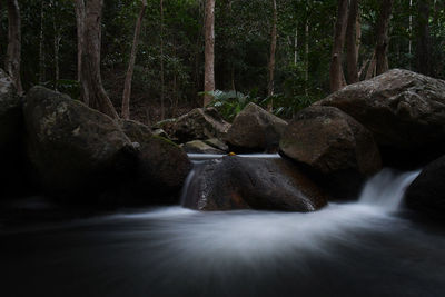 Stream flowing through rocks in forest