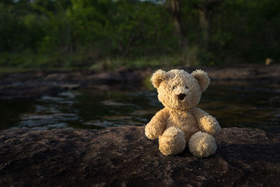 Close-up of toy sitting on wood