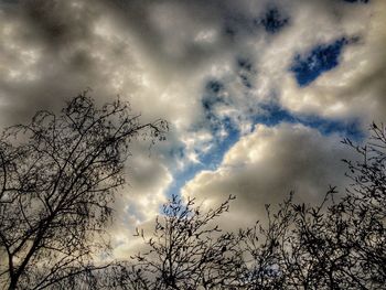 Low angle view of bare trees against cloudy sky