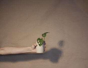 Midsection of person holding ice cream