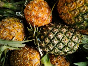 Close-up of pineapples for sale in market
