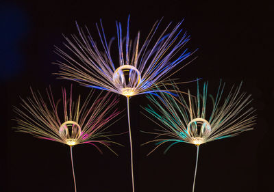 Low angle view of illuminated ferris wheel against sky at night