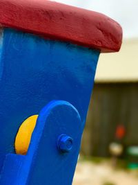 Close-up of blue head