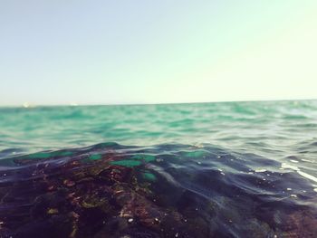 Close-up of sea against clear sky