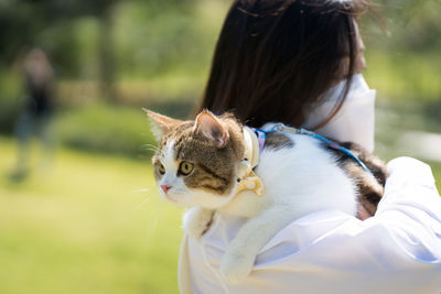 Close-up of cat