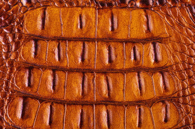 Full frame shot of coffee beans against orange background