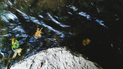 Close-up of rocks in water