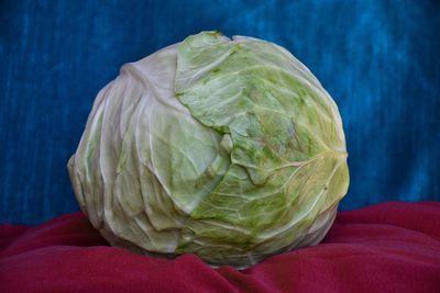 Close-up of cabbage