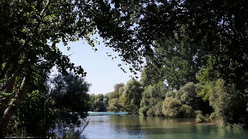 River amidst trees in forest against sky