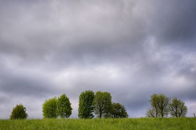 Trees on field against storm clouds