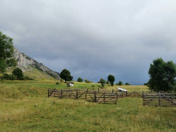 Scenic view of agricultural field against sky