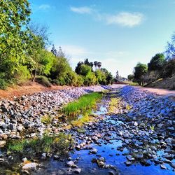 Scenic view of river against cloudy sky