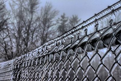 Frozen chainlink fence during winter