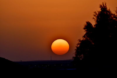 Silhouette trees against orange sky during sunset