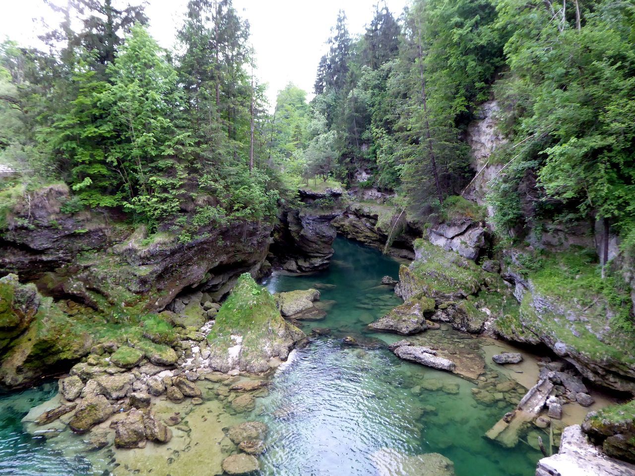 SCENIC VIEW OF RIVER STREAM IN FOREST