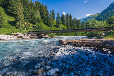 Scenic view of river in forest against sky