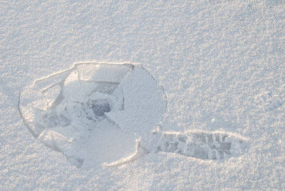 Close-up of snow