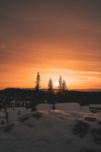 Silhouette trees on snow covered landscape against orange sky