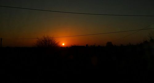 Silhouette of trees at sunset