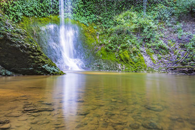 Scenic view of waterfall in forest