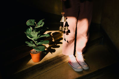 Low section of woman standing by potted plant