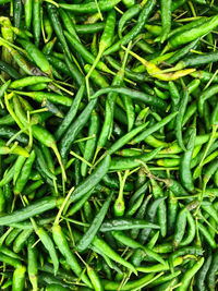 Full frame shot of green chili peppers