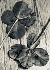 High angle view of dry leaves on table