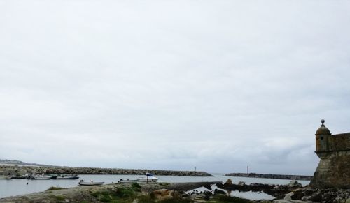 Seagull perching on a building